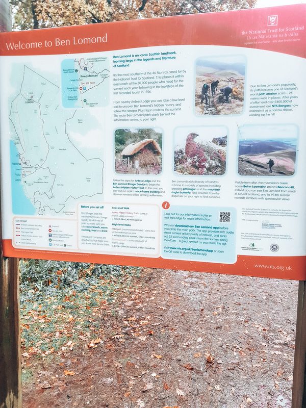 How To Climb Ben Lomond All Your Questions Answered!